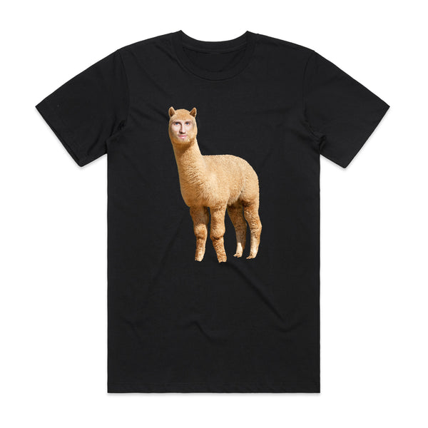 Haha Llama