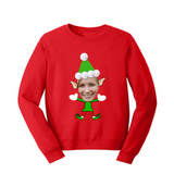 The Felfstive Holiday Sweater