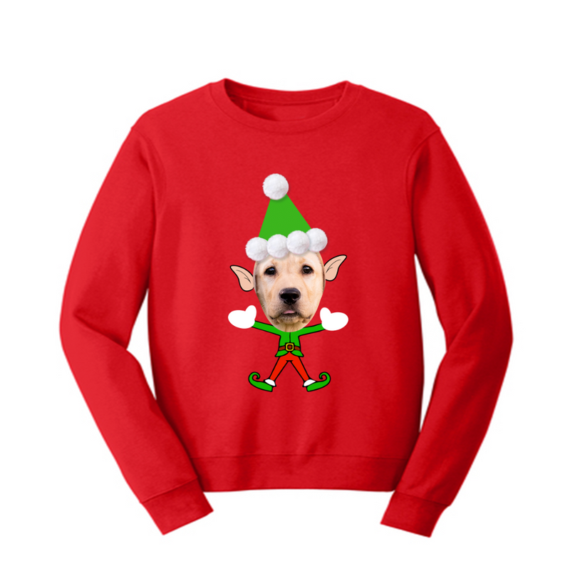The Felfstive Holiday Sweater